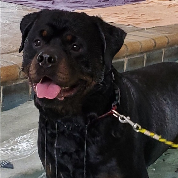 Meet your Posher, Anne - Picture 6 of 15